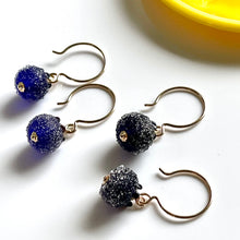 Load image into Gallery viewer, Blueberry Earrings with Signature Hook
